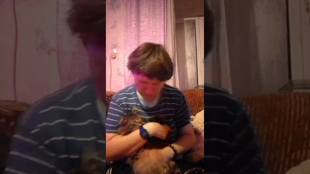 клип про Кузя котик