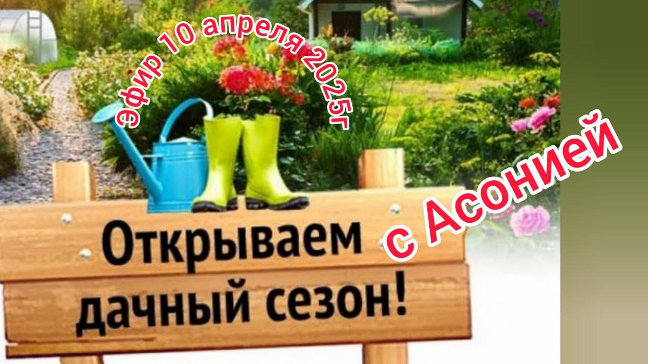 Открываем дачный сезон с Асонией. Эфир 10 апреля 2025 г. Спикеры Нина Глазер и Наталья Майоршина