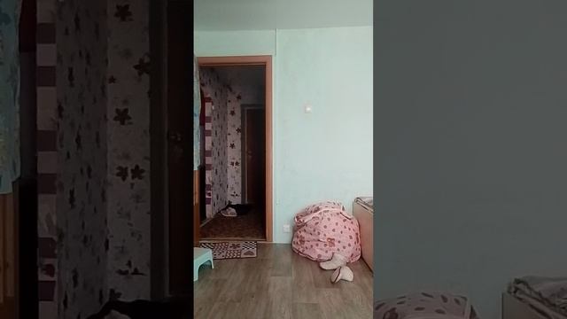 🩸Анимация 12: где жееееее скибиди🤘🩸