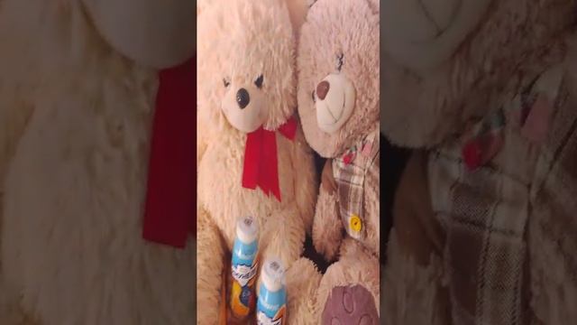катун кэт принёс живым игрушкас что то