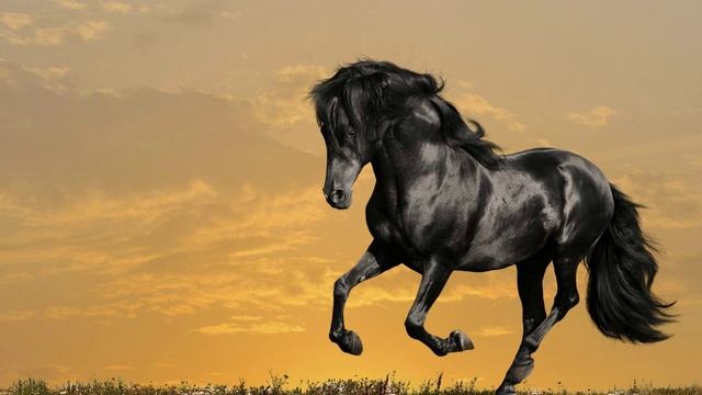 Hijo del viento - Lufebear