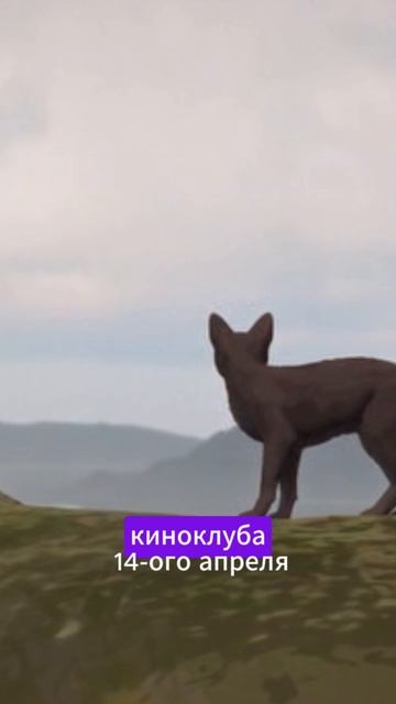 "Поток"