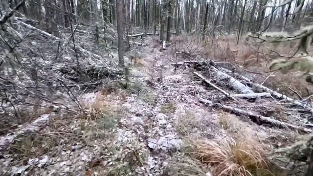 Пятый день на охоте. Быт таёжника . Банька.