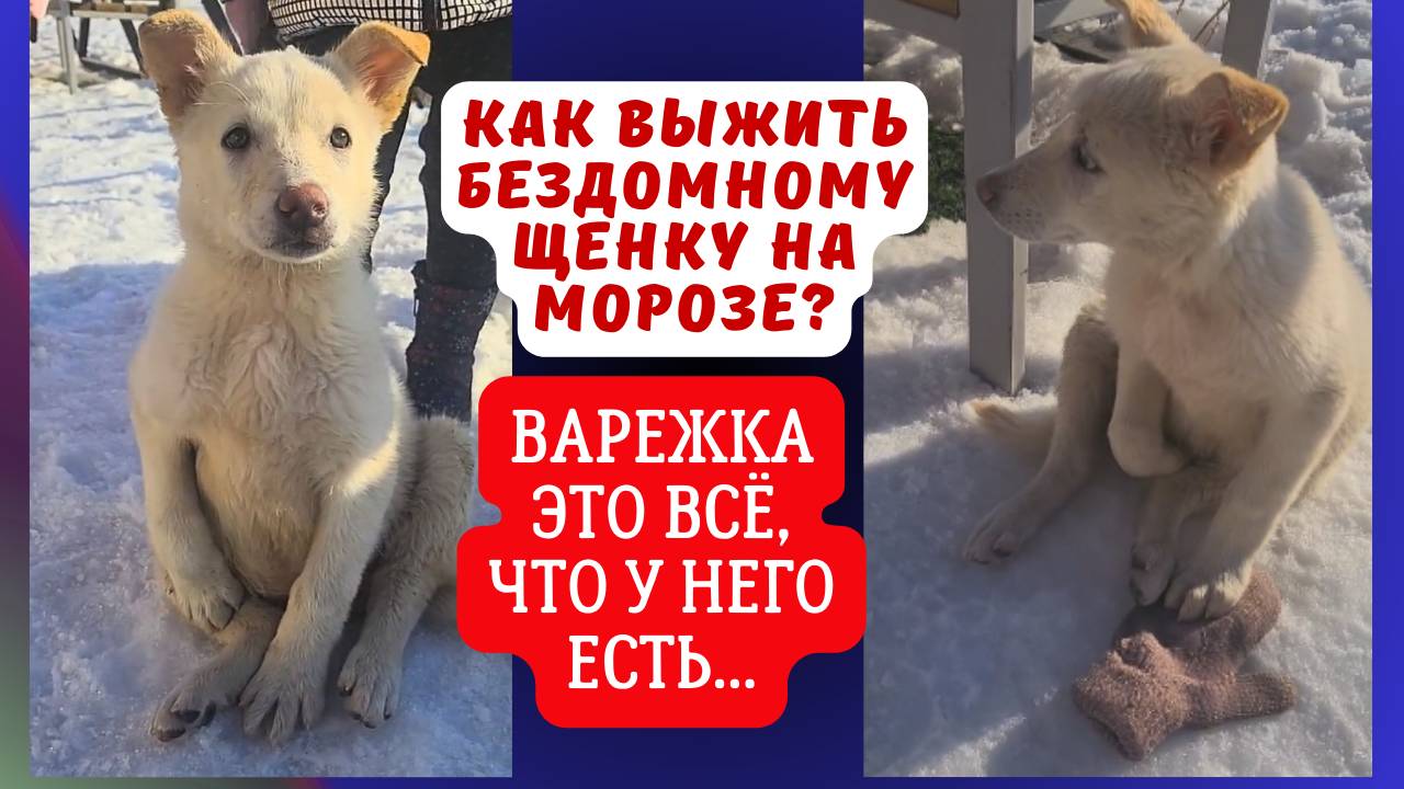 У этого ребёнка есть только варежка... Спасти или пройти?