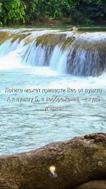МУДРОСТЬ МЕНЯЮЩАЯ СУДЬБУ | Афоризмы и Цитаты