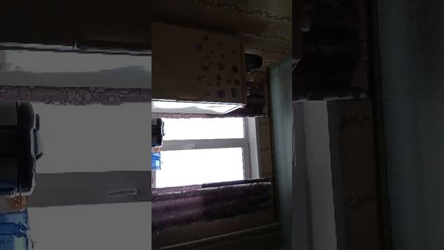 секс после работы