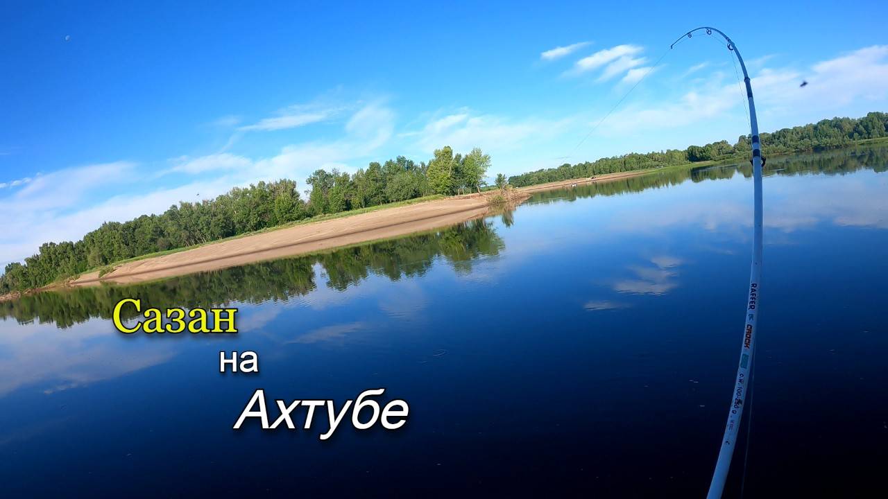 Летняя рыбалка на реке Ахтуба. Поймали сазана на донку.
