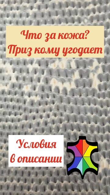 Угадайте что за кожа и выиграете приз!