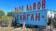 Парк львов "Тайган" – Крымское сафари !