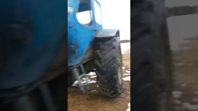гулянка