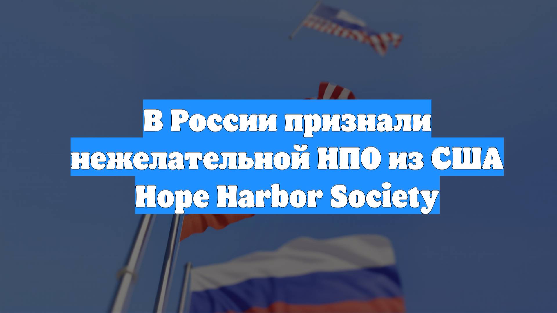 В России признали нежелательной НПО из США Hope Harbor Society