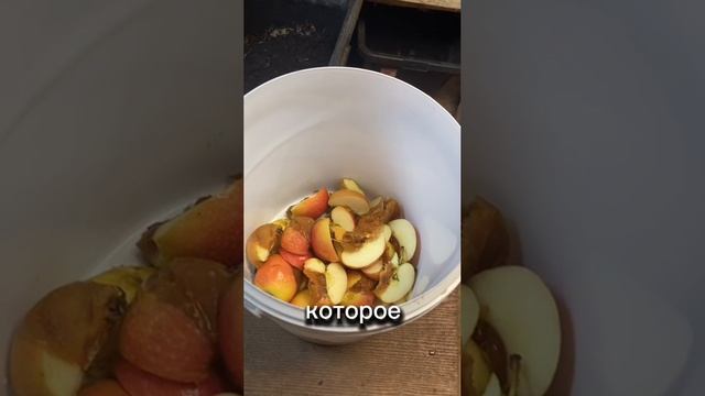Комплект для рыбалки 300+
