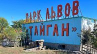 Парк львов "Тайган" – Крымское сафари !