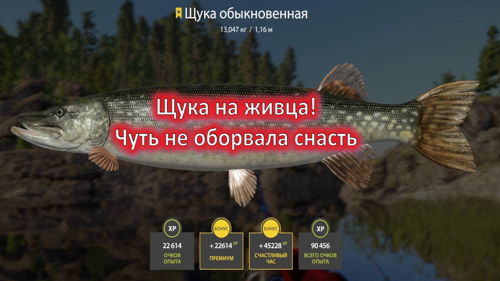 Русская рыбалка 4-Ладожское озеро-ЩУКА ТРОФ запись 10.04.2025г