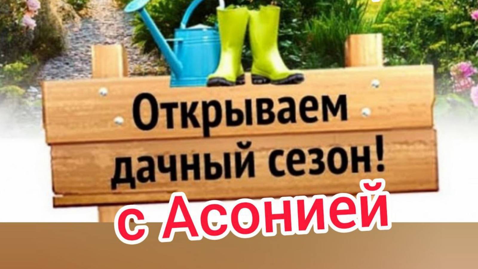 Открываем дачный сезон с Асонией