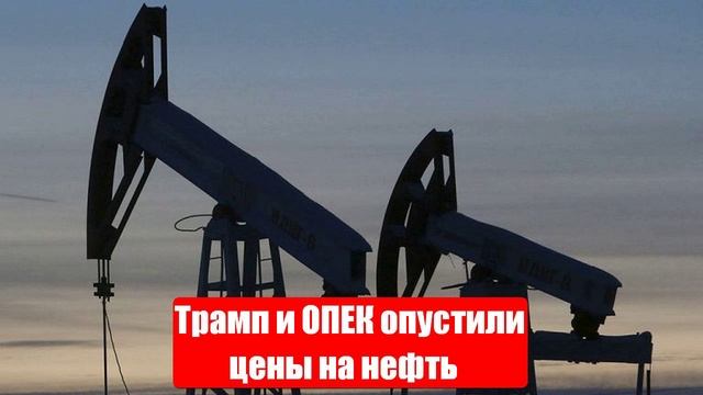 Трамп и ОПЕК опустили цены на нефть и доходы России