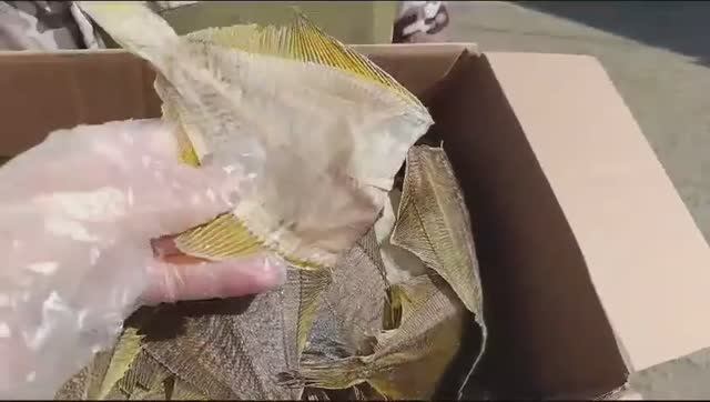 Камбала вяленая без консервантов