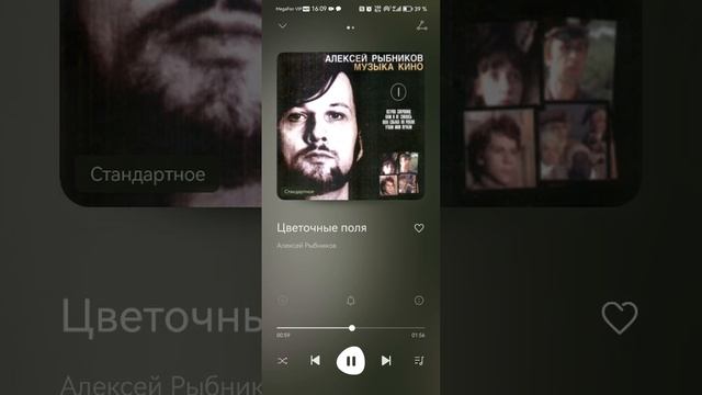 SVID_20250407_160834_1.mp4