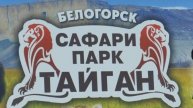 Парк львов "Тайган" – Крымское сафари !
