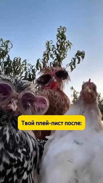 Любителям турецких сериалов )