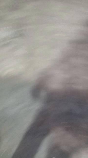 10-04-2025