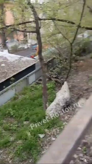 НОГИ БЫ НЕ СЛОМАТЬ: состояние  спуска к детсаду на Береговой с Седова-Чехова.