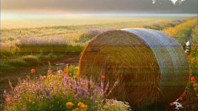 Ты возьми меня/авторское