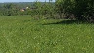 24.05.2024 10:56 пятница. В деревню Пятерное к реке Упе и вдоль неё через посёлок Свобода домой.