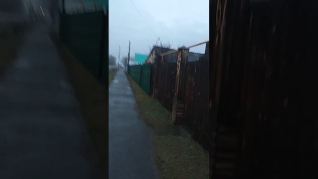 по каргаполью