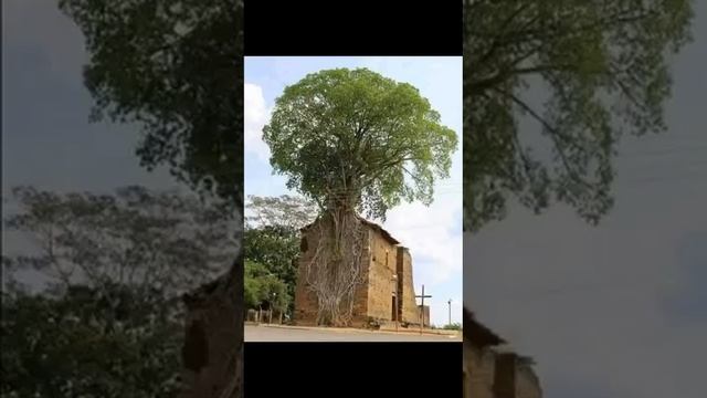 e6b7853e-af03-4faf-ae26-bf91320a9af1-1_all_3756.mp4