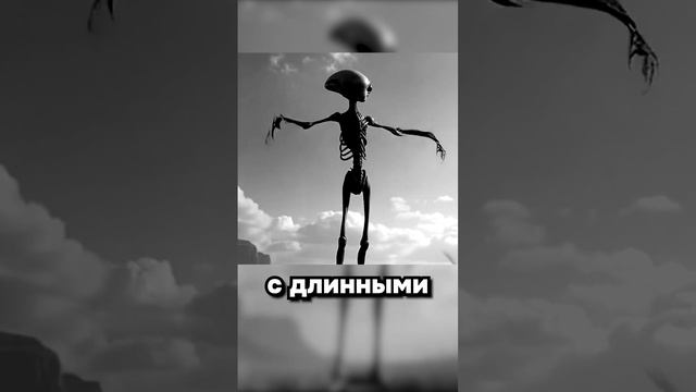 интересная история 🤔🤔🤔🤔