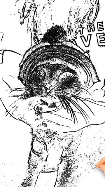 Me little Kitten