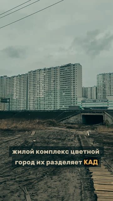 Я плачу налоги, где мои дороги...