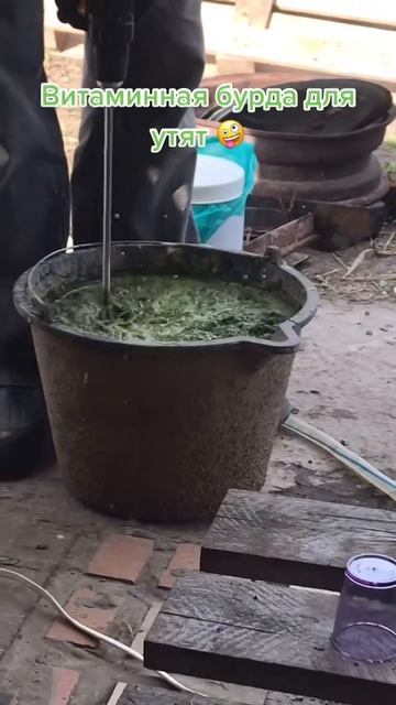 Правильное питание