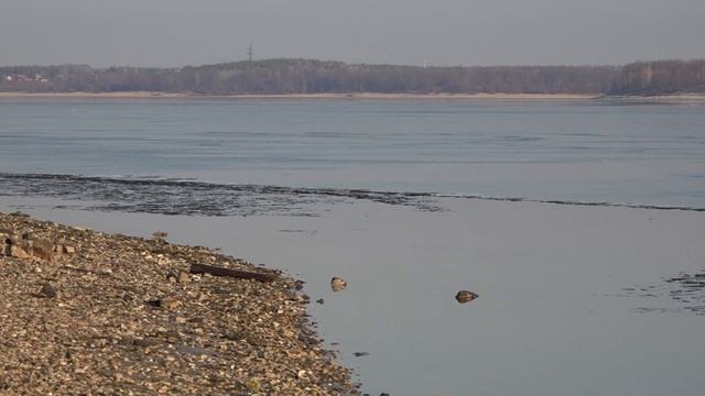 Где рыбачат Рыбаки Пляж На берегу срубили все деревья Новочебоксарск АвтоПляж Ковш 1 04 2025