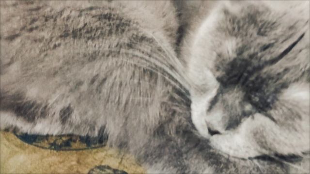 1000000292.mp4