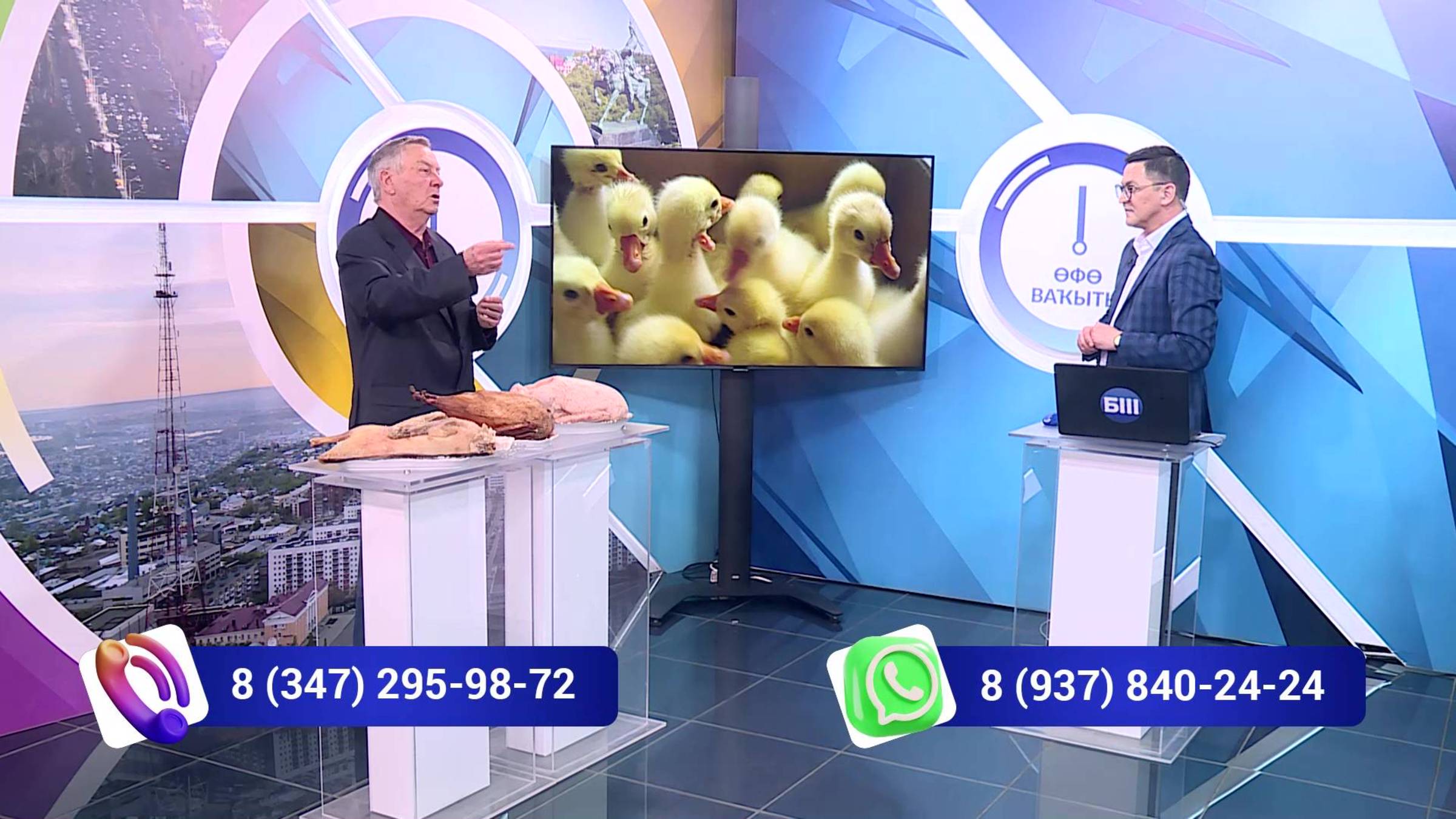 Башҡортостан ҡаҙ үрсетеү буйынса алдынғы субьект