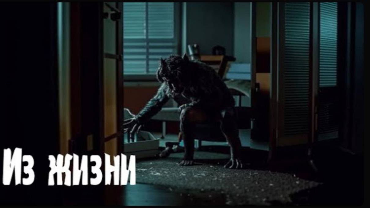 Из жизни. Страшные. Мистические. Творческие истории. Хоррор