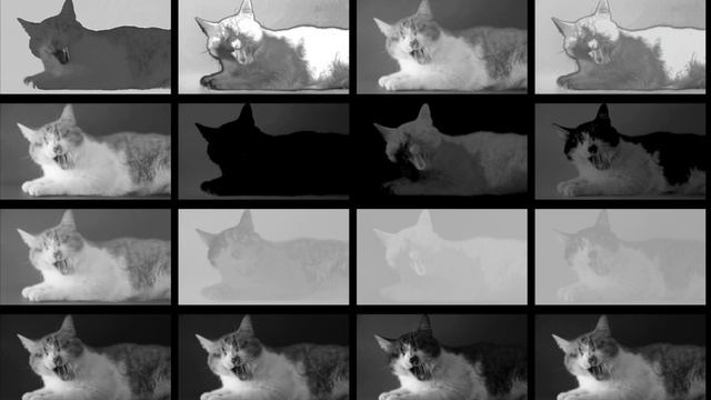 02-blue-or-green-screen