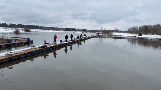 Запуск форели в акваторию 35 кг !!!