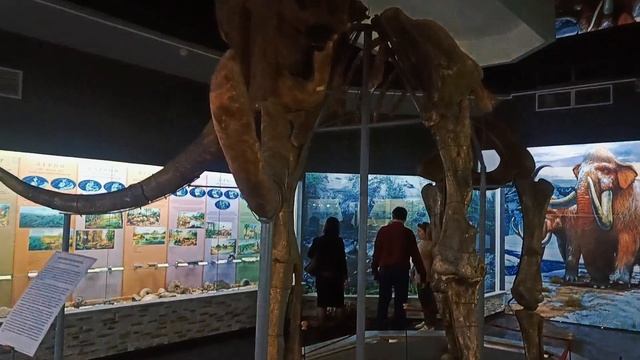 Мамонт в Майкопе / Репортаж Вандышева Оксана/Краснодар