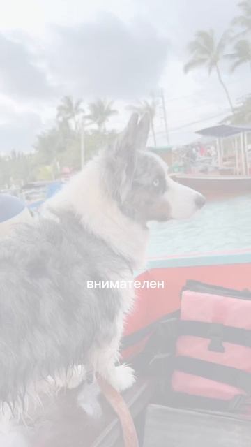 Ответ ближе, чем ты думаешь❕