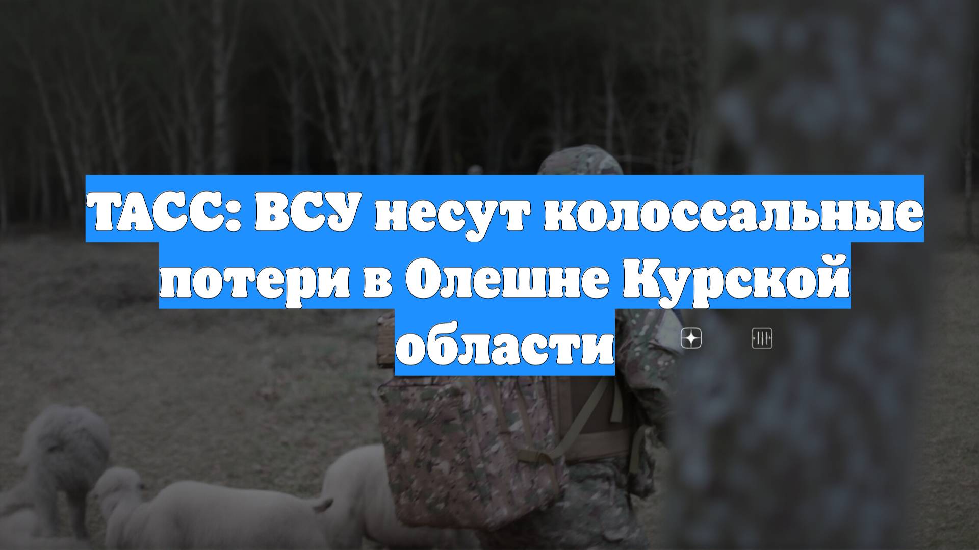 ТАСС: ВСУ несут колоссальные потери в Олешне Курской области