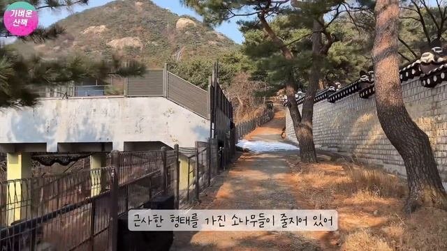 전구간 개방! 대통령만 갈 수 있었던 도심 속 숲길 걷기 특별한 둘레길 ㅣ대중교통 당일치기 여행ㅣ지하철 여행ㅣ트레킹 코스