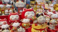 Японский фестиваль - Сайгонский центр