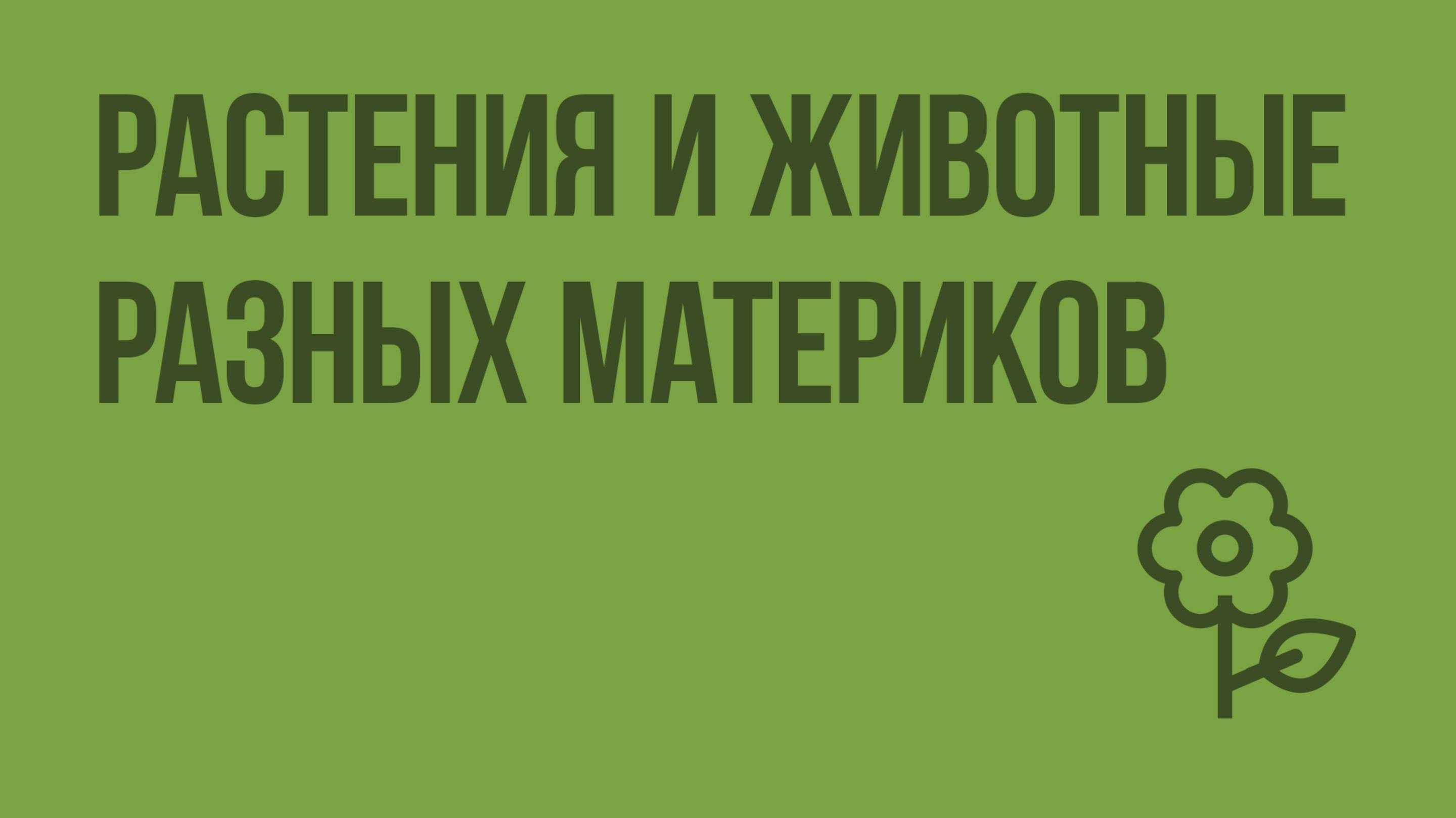 Растения и животные разных материков. Видеоурок по природоведению 5 класс