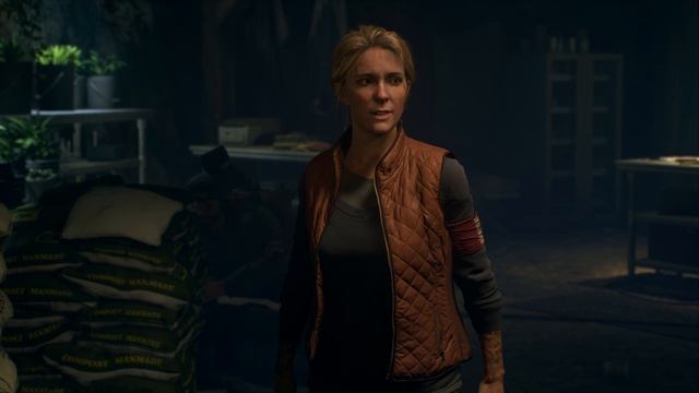 Days Gone 26