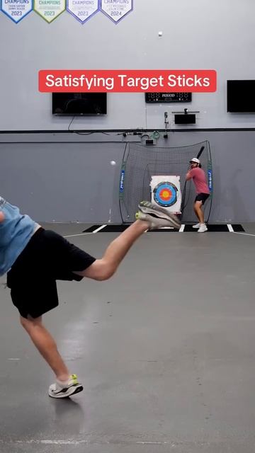 Wiffleball Pitching Target Practice.mp4