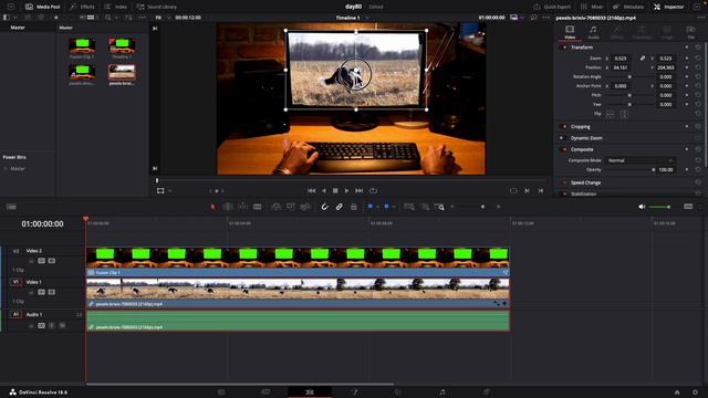 How to Remove Green screen easily in Davinci Resolve 18.6 in Telugu || DAY 80 || TejaswiEdits