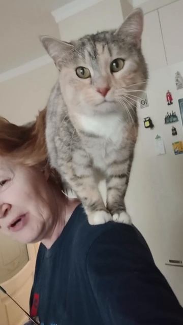 Высоко сижу, далеко гляжу.